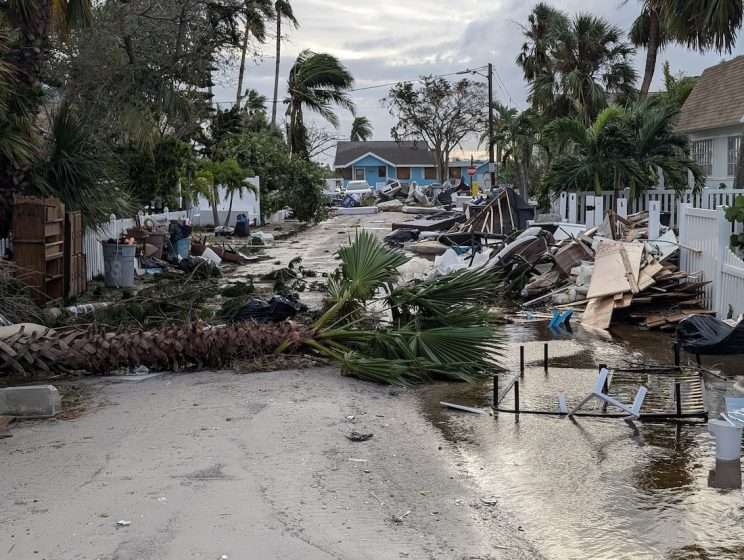 a fallen palm tree in a road with sand and furniture debris from homes.