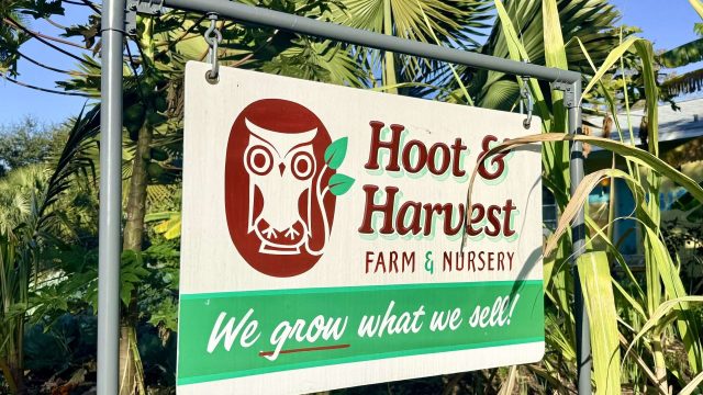Sign that reads 'Hoot & Harvest Farm & Nursery - we grow what we sell'