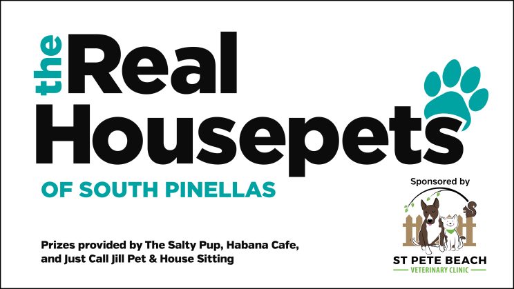 real housepets of south Pinellas